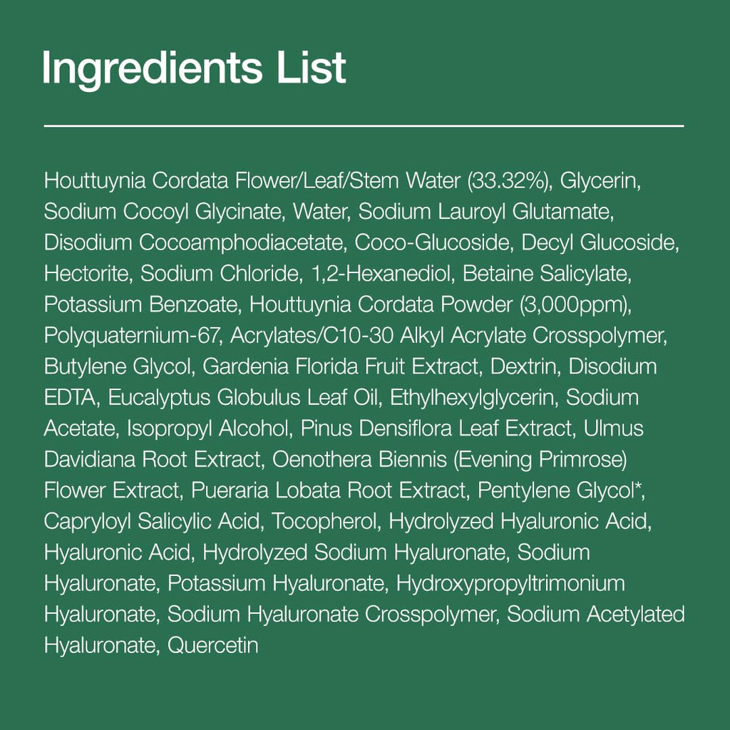 ANUA Heartleaf Quercetinol Pore Deep Cleansing Foam