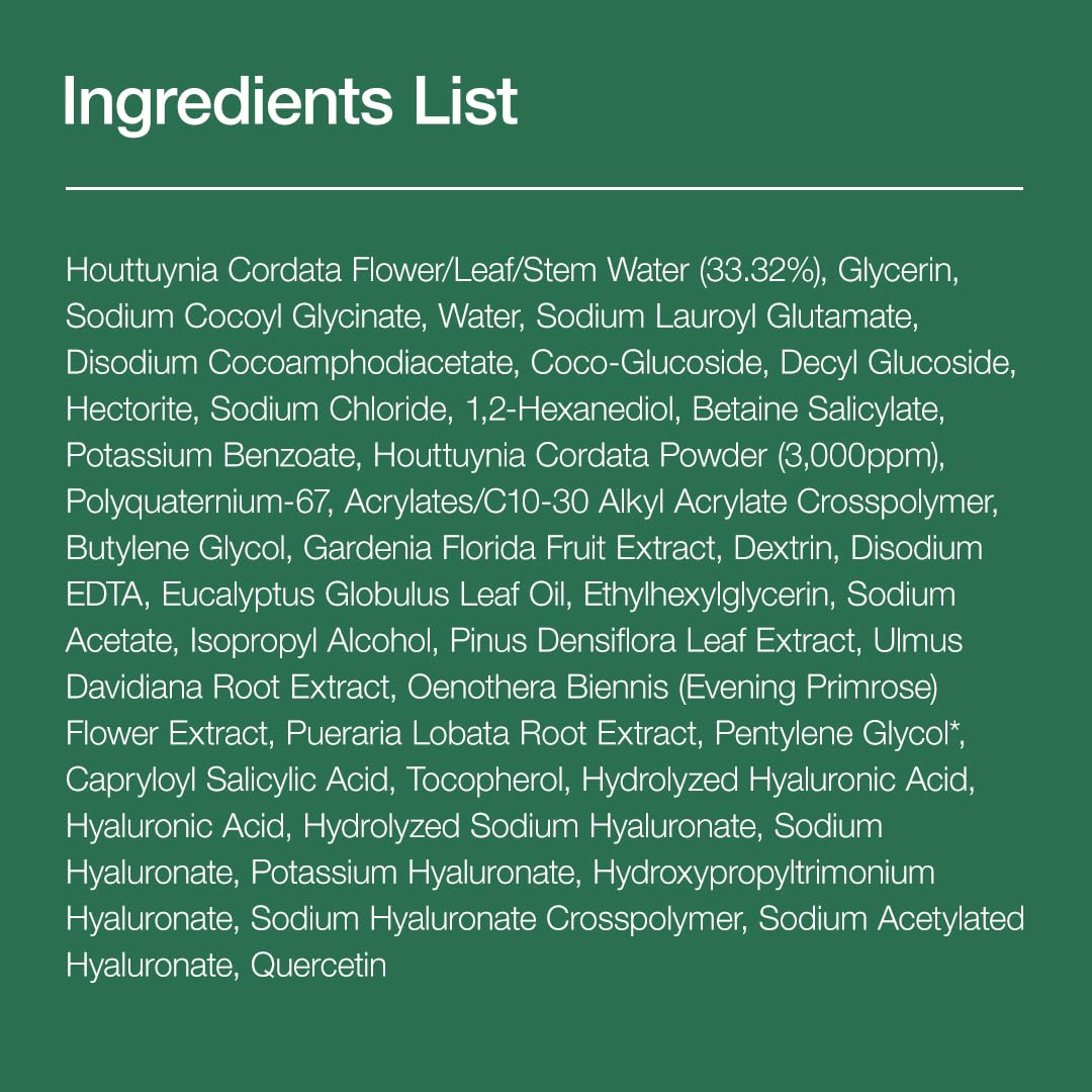 ANUA Heartleaf Quercetinol Pore Deep Cleansing Foam