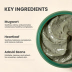 AXIS-Y Mugwort Pore Clarifying Wash Off Pack 100g