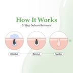 Dr.Althea Premium Quick Step Sebum Cleanser