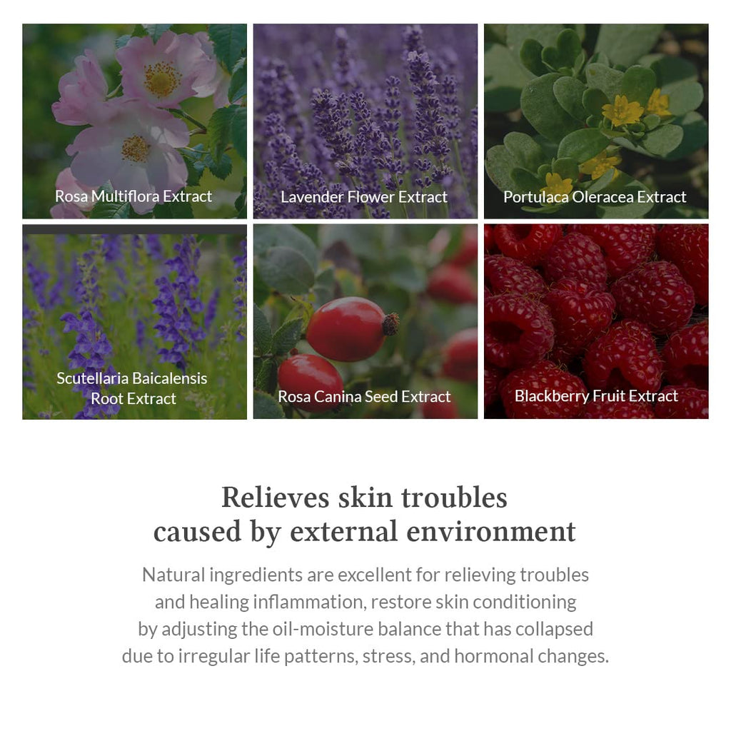 Dr.Althea Premium Rosa Modeling Mask