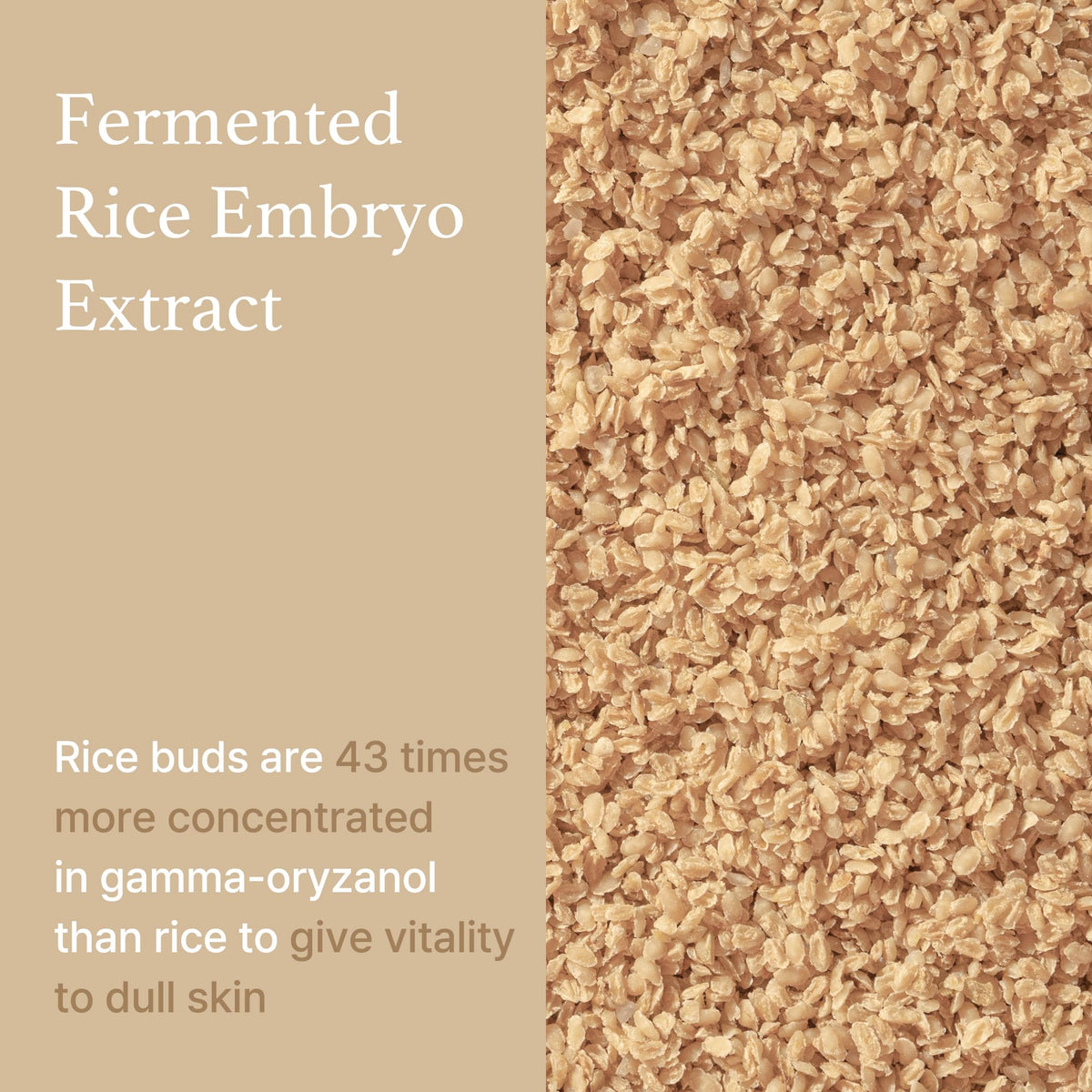 I'm from Rice Serum, Korean Fermented Rice Embryo Extract Boosts Collagen 30ml